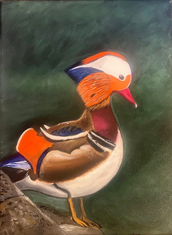 The Mandarin's Rest by Deepti Dasika: Realistic mandarin duck in vivid orange, cream and violet-blue, perched on a rock against a soft forest-green ground.